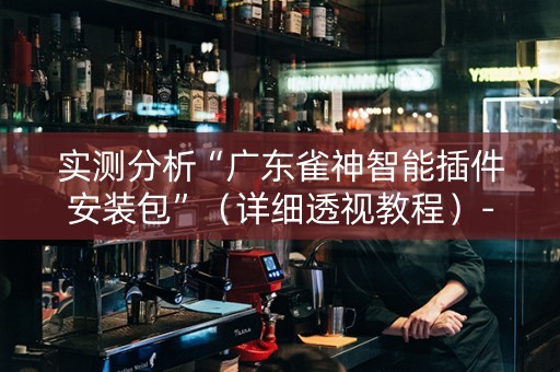 实测分析“广东雀神智能插件安装包”（详细透视教程）-哔哩哔哩