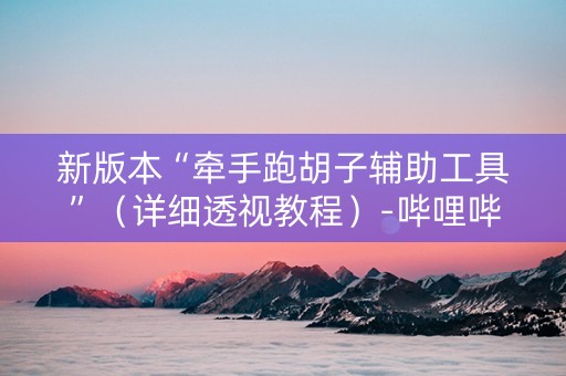 新版本“牵手跑胡子辅助工具”（详细透视教程）-哔哩哔哩