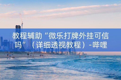 教程辅助“微乐打牌外挂可信吗”（详细透视教程）-哔哩哔哩