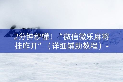 2分钟秒懂！“微信微乐麻将挂咋开”（详细辅助教程）-哔哩哔哩