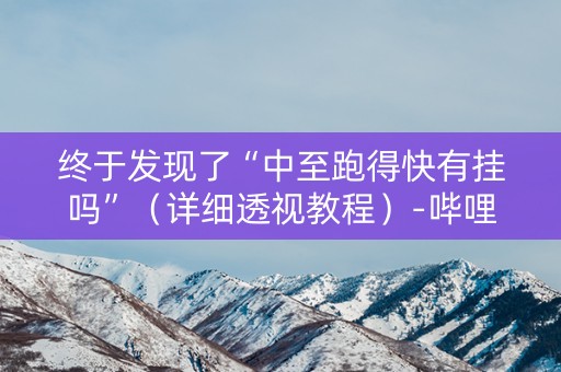 终于发现了“中至跑得快有挂吗”（详细透视教程）-哔哩哔哩