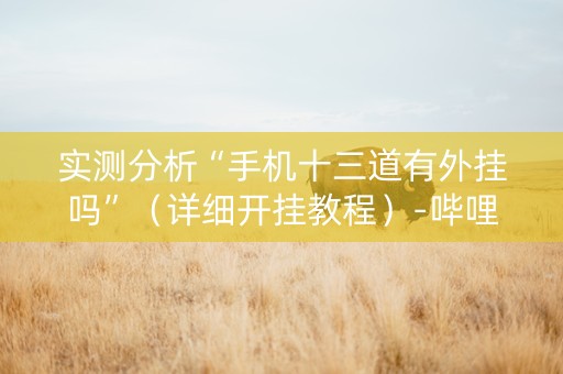 实测分析“手机十三道有外挂吗”（详细开挂教程）-哔哩哔哩