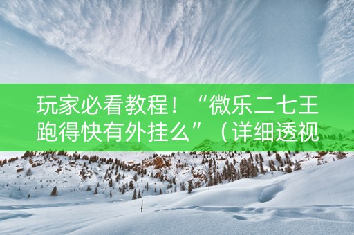 玩家必看教程！“微乐二七王跑得快有外挂么”（详细透视教程）-哔哩哔哩