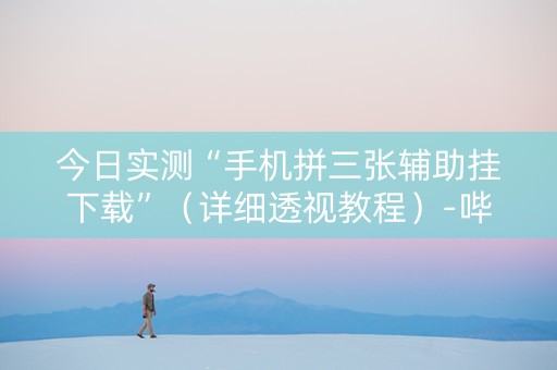 今日实测“手机拼三张辅助挂下载”（详细透视教程）-哔哩哔哩