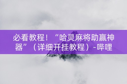 必看教程！“哈灵麻将助赢神器”（详细开挂教程）-哔哩哔哩