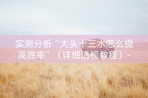 实测分析“大头十三水怎么提高胜率”（详细透视教程）-哔哩哔哩
