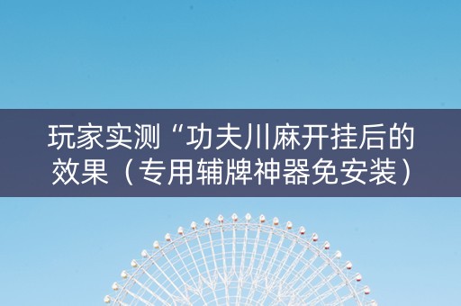 玩家实测“功夫川麻开挂后的效果（专用辅牌神器免安装）