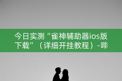 今日实测“雀神辅助器ios版下载”（详细开挂教程）-哔哩哔哩