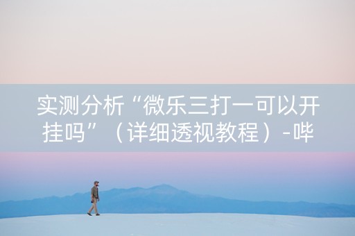 实测分析“微乐三打一可以开挂吗”（详细透视教程）-哔哩哔哩
