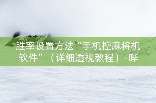胜率设置方法“手机控麻将机软件”（详细透视教程）-哔哩哔哩