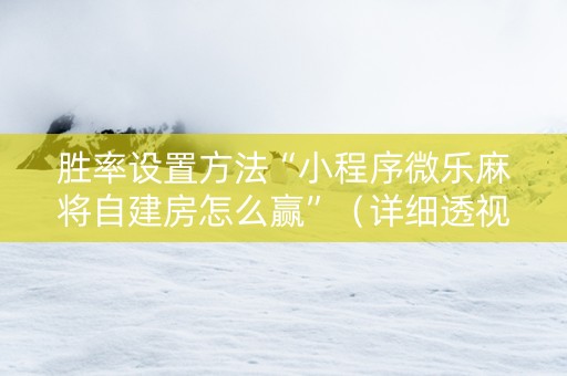 胜率设置方法“小程序微乐麻将自建房怎么赢”（详细透视教程）-哔哩哔哩