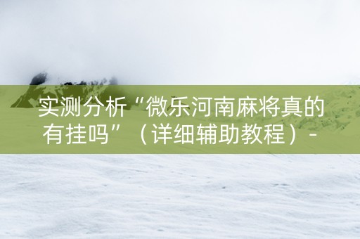 实测分析“微乐河南麻将真的有挂吗”（详细辅助教程）-哔哩哔哩