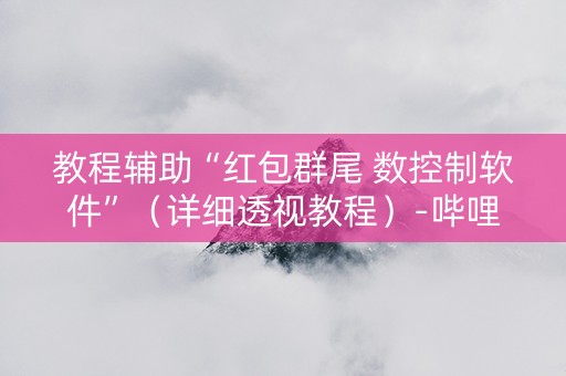 教程辅助“红包群尾 数控制软件”（详细透视教程）-哔哩哔哩