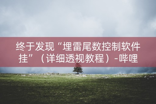 终于发现“埋雷尾数控制软件挂”（详细透视教程）-哔哩哔哩
