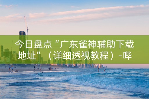 今日盘点“广东雀神辅助下载地址”（详细透视教程）-哔哩哔哩