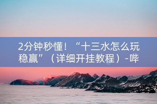 2分钟秒懂！“十三水怎么玩稳赢”（详细开挂教程）-哔哩哔哩