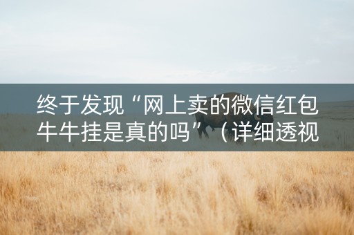 终于发现“网上卖的微信红包牛牛挂是真的吗”（详细透视教程）-哔哩哔哩