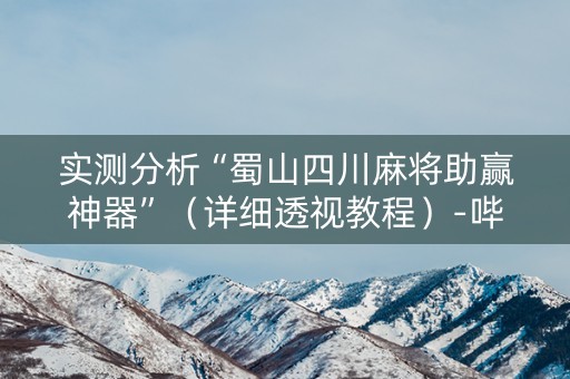 实测分析“蜀山四川麻将助赢神器”（详细透视教程）-哔哩哔哩