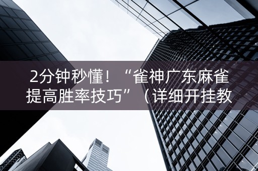 2分钟秒懂！“雀神广东麻雀提高胜率技巧”（详细开挂教程）-哔哩哔哩