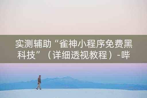 实测辅助“雀神小程序免费黑科技”（详细透视教程）-哔哩哔哩