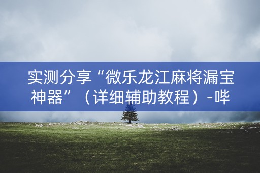 实测分享“微乐龙江麻将漏宝神器”（详细辅助教程）-哔哩哔哩