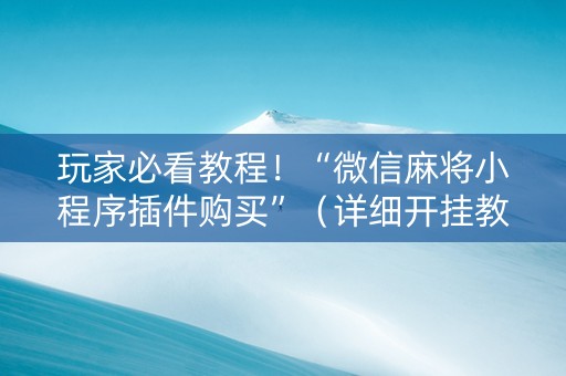 玩家必看教程！“微信麻将小程序插件购买”（详细开挂教程）-哔哩哔哩