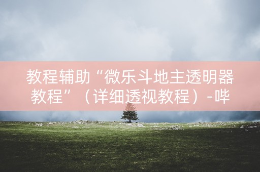 教程辅助“微乐斗地主透明器教程”（详细透视教程）-哔哩哔哩