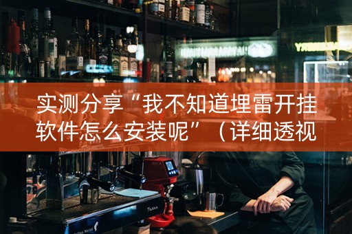 实测分享“我不知道埋雷开挂软件怎么安装呢”（详细透视教程）-哔哩哔哩