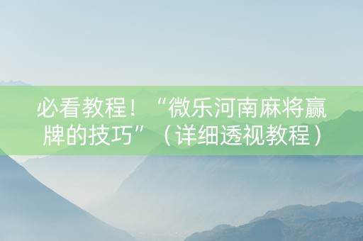必看教程！“微乐河南麻将赢牌的技巧”（详细透视教程）-哔哩哔哩