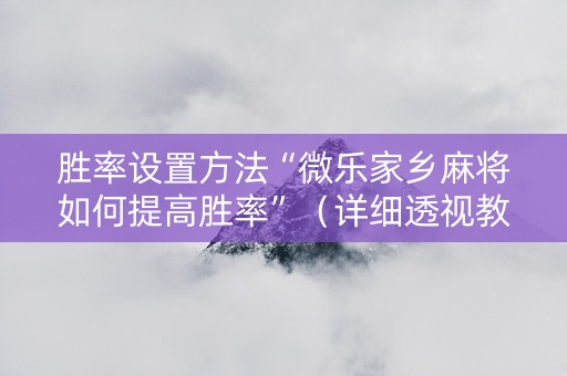 胜率设置方法“微乐家乡麻将如何提高胜率”（详细透视教程）-哔哩哔哩