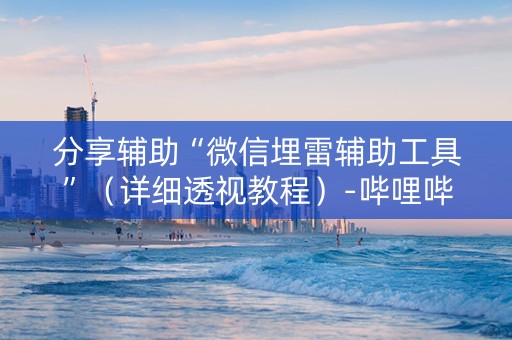 分享辅助“微信埋雷辅助工具”（详细透视教程）-哔哩哔哩