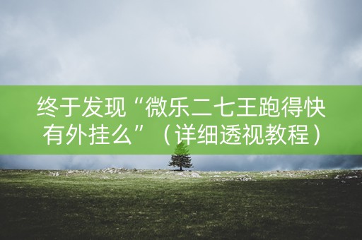 终于发现“微乐二七王跑得快有外挂么”（详细透视教程）-哔哩哔哩