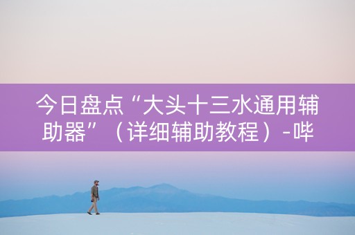 今日盘点“大头十三水通用辅助器”（详细辅助教程）-哔哩哔哩