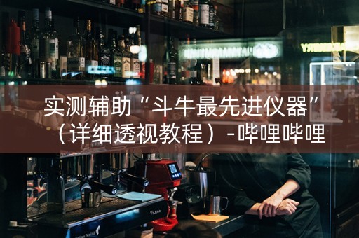 实测辅助“斗牛最先进仪器”（详细透视教程）-哔哩哔哩
