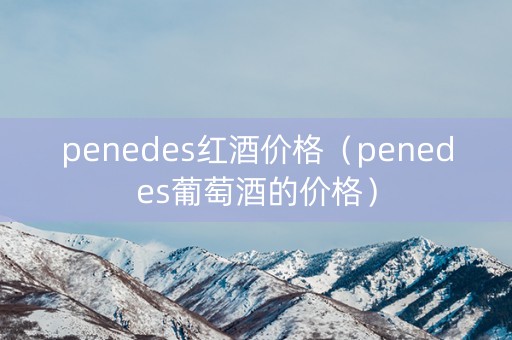 penedes红酒价格（penedes葡萄酒的价格）