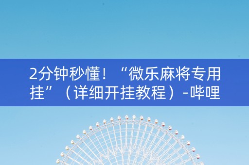 2分钟秒懂！“微乐麻将专用挂”（详细开挂教程）-哔哩哔哩