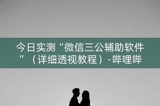 今日实测“微信三公辅助软件”（详细透视教程）-哔哩哔哩