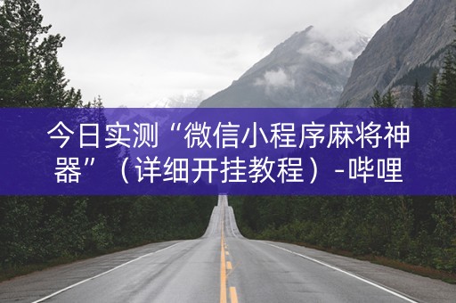 今日实测“微信小程序麻将神器”（详细开挂教程）-哔哩哔哩