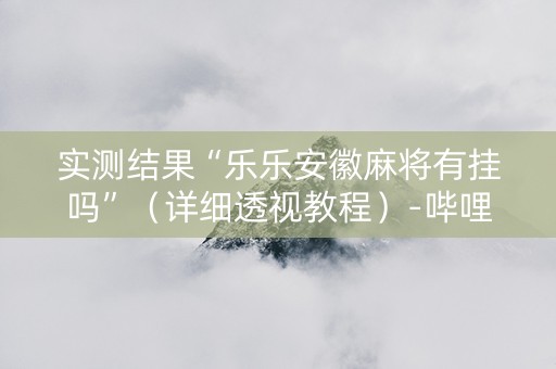 实测结果“乐乐安徽麻将有挂吗”（详细透视教程）-哔哩哔哩
