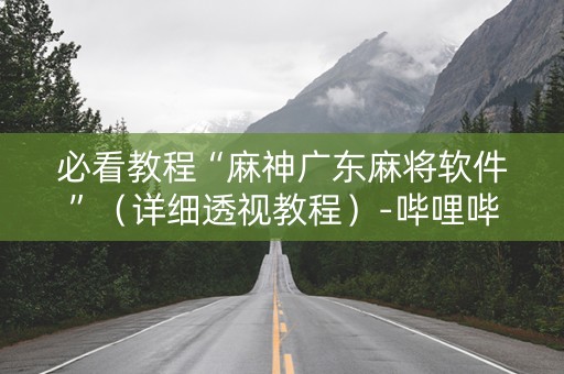 必看教程“麻神广东麻将软件”（详细透视教程）-哔哩哔哩