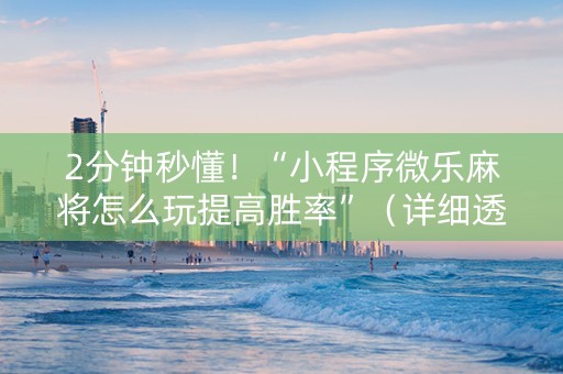 2分钟秒懂！“小程序微乐麻将怎么玩提高胜率”（详细透视教程）-哔哩哔哩