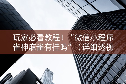 玩家必看教程！“微信小程序雀神麻雀有挂吗”（详细透视教程）-哔哩哔哩