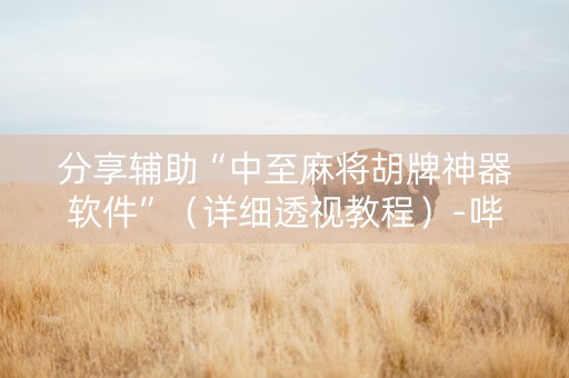 分享辅助“中至麻将胡牌神器软件”（详细透视教程）-哔哩哔哩