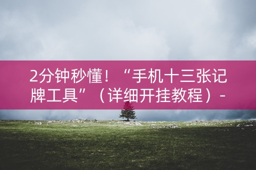 2分钟秒懂！“手机十三张记牌工具”（详细开挂教程）-哔哩哔哩