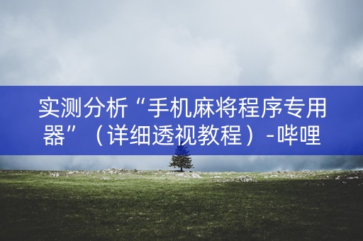 实测分析“手机麻将程序专用器”（详细透视教程）-哔哩哔哩