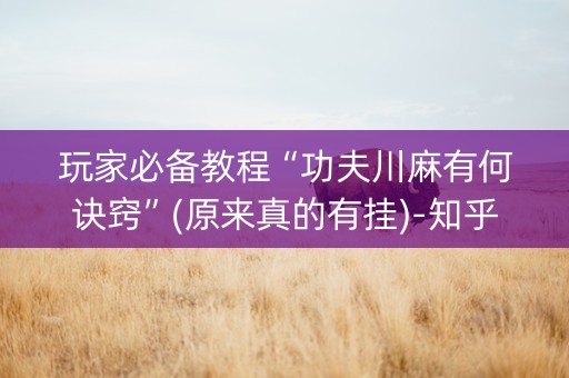 玩家必备教程“功夫川麻有何诀窍”(原来真的有挂)-知乎