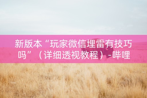新版本“玩家微信埋雷有技巧吗”（详细透视教程）-哔哩哔哩