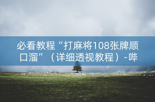 必看教程“打麻将108张牌顺口溜”（详细透视教程）-哔哩哔哩
