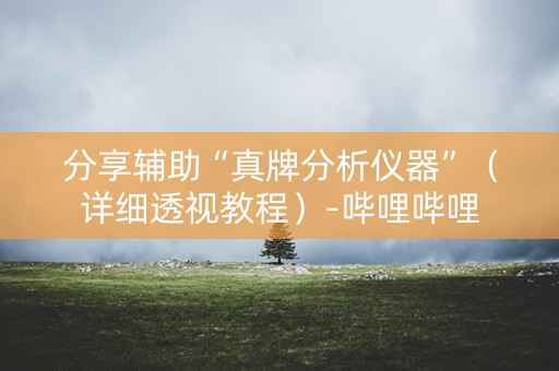 分享辅助“真牌分析仪器”（详细透视教程）-哔哩哔哩