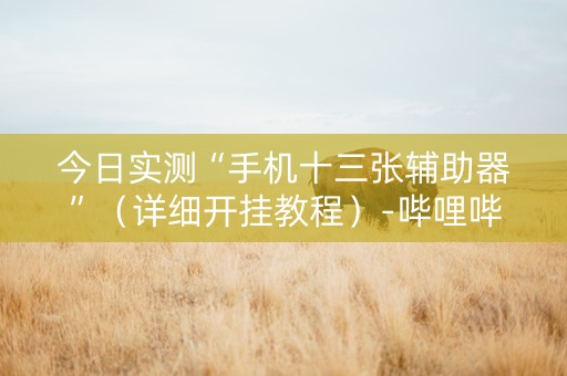 今日实测“手机十三张辅助器”（详细开挂教程）-哔哩哔哩
